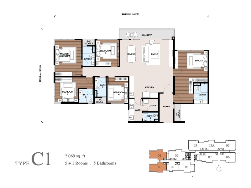 Type C1